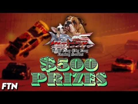 $500 PRIZE POOL || MMS Money Racing at Talladega | Esports Broadcast Picture